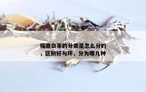 福鼎白茶的分类是怎么分的，区别好与坏，分为哪几种