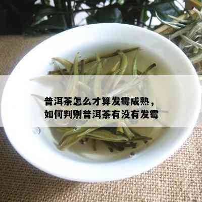 普洱茶怎么才算发霉成熟，如何判别普洱茶有没有发霉