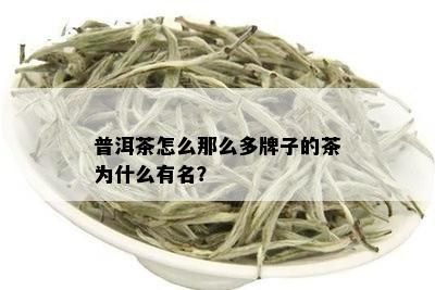 普洱茶怎么那么多牌子的茶为什么有名？