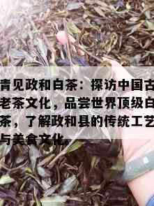 青见政和白茶：探访中国古老茶文化，品尝世界顶级白茶，了解政和县的传统工艺与美食文化。