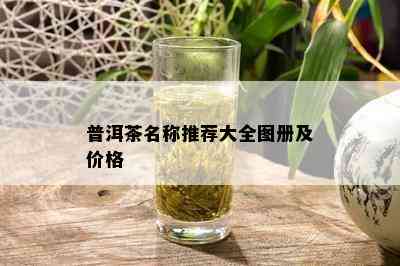 普洱茶名称推荐大全图册及价格