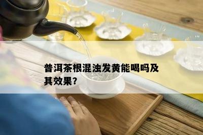 普洱茶根混浊发黄能喝吗及其效果？