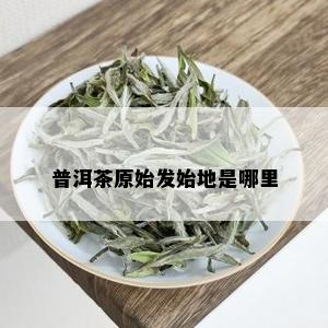 普洱茶原始发始地是哪里