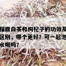 福鼎白茶和枸杞子的功效及区别，哪个更好？可一起泡水喝吗？