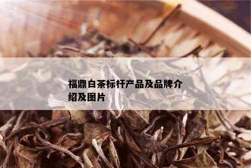 福鼎白茶标杆产品及品牌介绍及图片