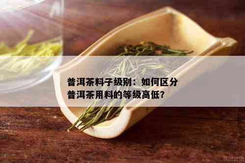 普洱茶料子级别：如何区分普洱茶用料的等级高低？