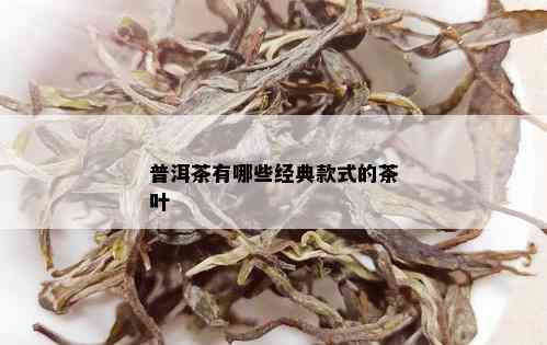 普洱茶有哪些经典款式的茶叶