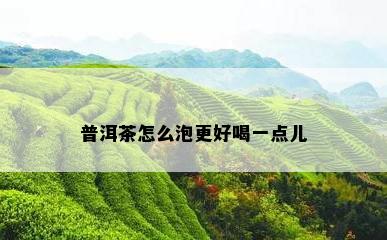 普洱茶怎么泡更好喝一点儿