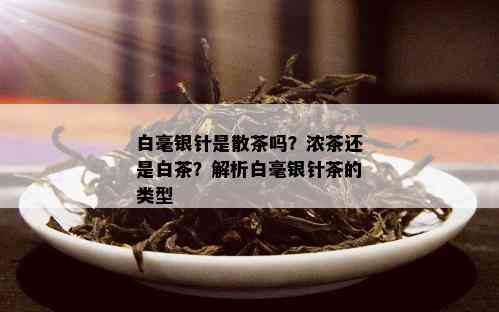 白毫银针是散茶吗？浓茶还是白茶？解析白毫银针茶的类型