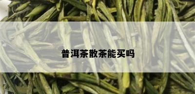 普洱茶散茶能买吗