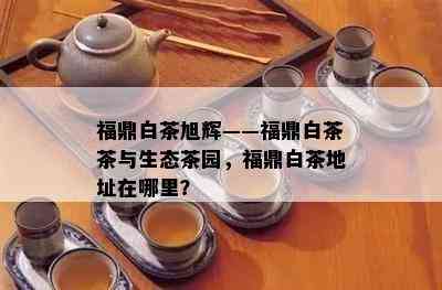 福鼎白茶旭辉——福鼎白茶茶与生态茶园，福鼎白茶地址在哪里？