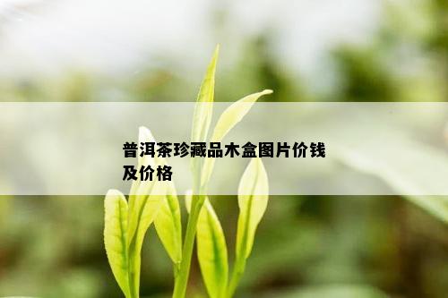 普洱茶珍藏品木盒图片价钱及价格