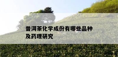 普洱茶化学成份有哪些品种及理研究