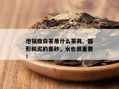 泡福鼎白茶用什么茶具、器形和泥的紫砂，水也很重要！