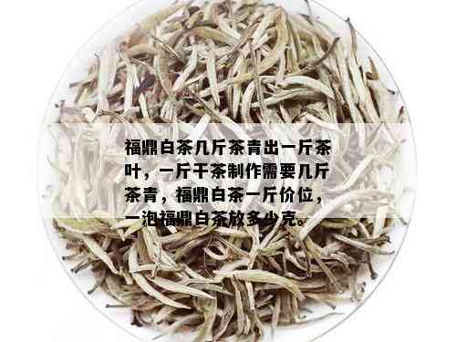 福鼎白茶几斤茶青出一斤茶叶，一斤干茶制作需要几斤茶青，福鼎白茶一斤价位，一泡福鼎白茶放多少克。