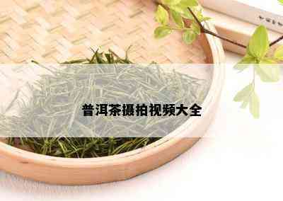 普洱茶摄拍视频大全