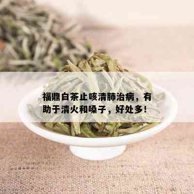 福鼎白茶止咳清肺治病，有助于清火和嗓子，好处多！