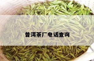 普洱茶厂电话查询