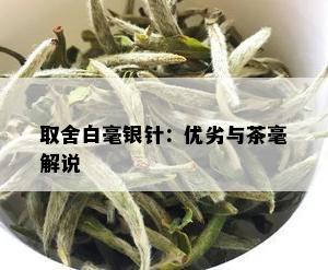 取舍白毫银针：优劣与茶毫解说