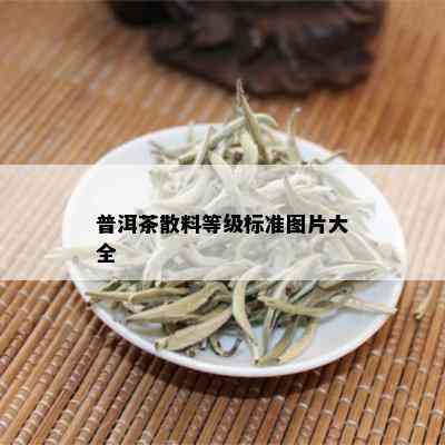 普洱茶散料等级标准图片大全