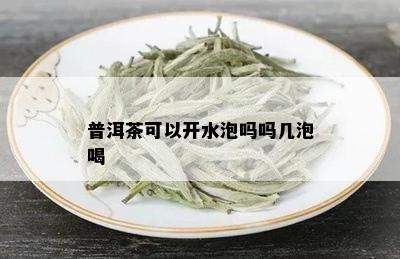 普洱茶可以开水泡吗吗几泡喝