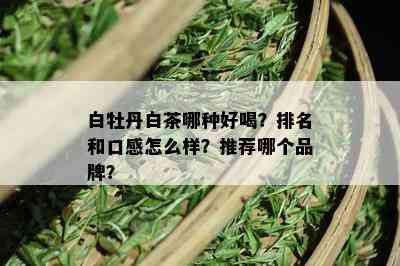 白牡丹白茶哪种好喝？排名和口感怎么样？推荐哪个品牌？