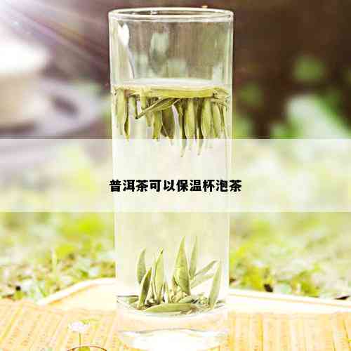 普洱茶可以保温杯泡茶