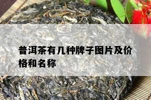 普洱茶有几种牌子图片及价格和名称