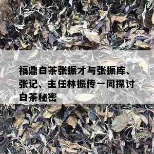 福鼎白茶张振才与张振库、张记、主任林振传一同探讨白茶秘密