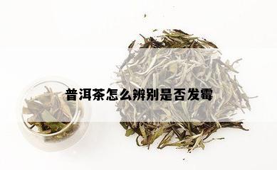 普洱茶怎么辨别是否发霉