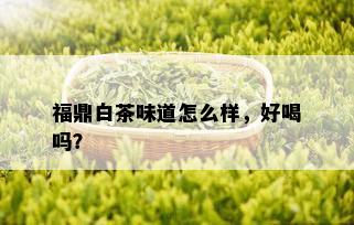 福鼎白茶味道怎么样，好喝吗？