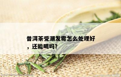 普洱茶受潮发霉怎么处理好，还能喝吗？