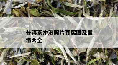 普洱茶冲泡照片真实图及高清大全