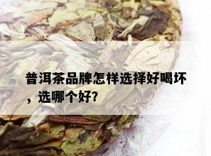 普洱茶品牌怎样选择好喝坏，选哪个好？