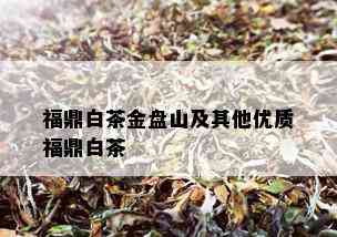 福鼎白茶金盘山及其他优质福鼎白茶