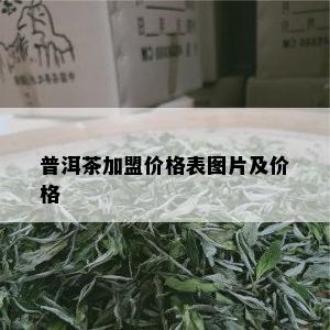 普洱茶加盟价格表图片及价格