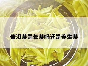 普洱茶是长茶吗还是养生茶