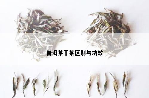 普洱茶干茶区别与功效