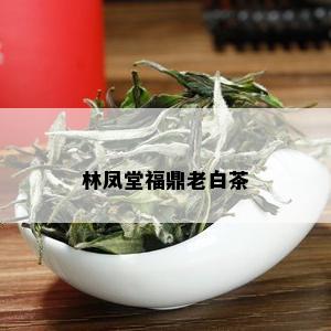 林凤堂福鼎老白茶