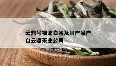 云鼎号福鼎白茶及其产品产自云鼎茶业公司