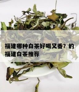 福建哪种白茶好喝又香？的福建白茶推荐