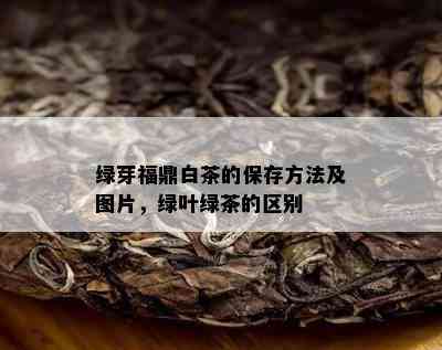 绿芽福鼎白茶的保存方法及图片，绿叶绿茶的区别