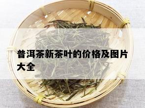 普洱茶新茶叶的价格及图片大全