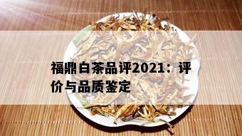 福鼎白茶品评2021：评价与品质鉴定