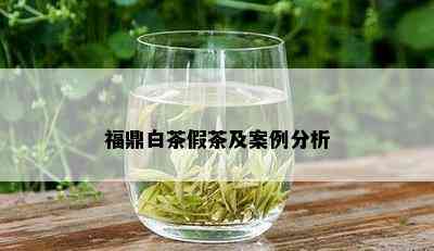 福鼎白茶假茶及案例分析