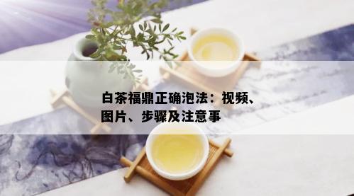 白茶福鼎正确泡法：视频、图片、步骤及注意事