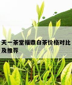 天一茶堂福鼎白茶价格对比及推荐