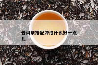 普洱茶搭配冲泡什么好一点儿