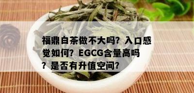 福鼎白茶做不大吗？入口感觉如何？EGCG含量高吗？是否有升值空间？