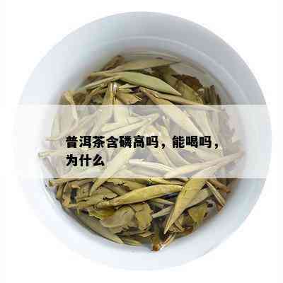 普洱茶含磷高吗，能喝吗，为什么